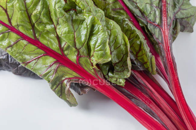 Bouquet de blettes rouges et vertes — Photo de stock