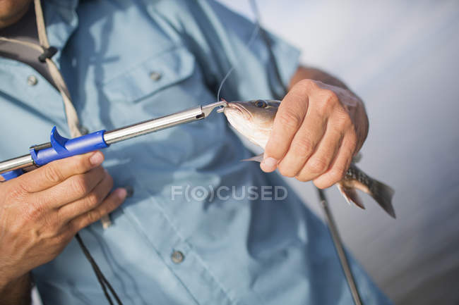 Чоловік розв'язує маленький мангровий скребок — стокове фото
