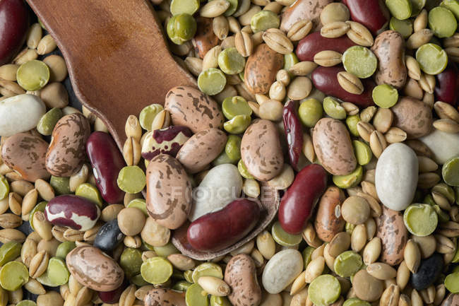 Vista aérea de lentilhas secas, feijão e cevada — Fotografia de Stock