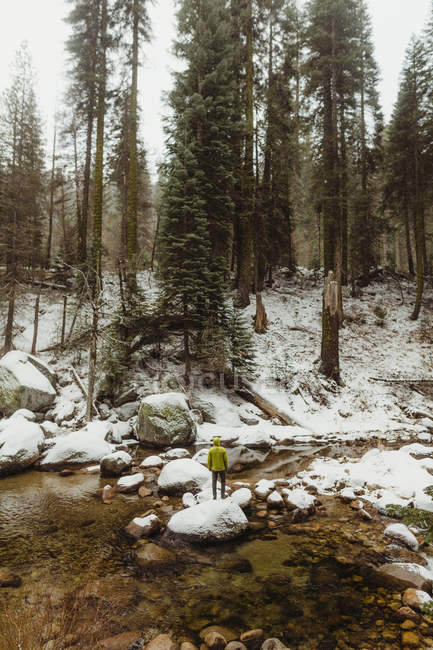Задній вид чоловічого мандрівного на річці порід у snowy Національний парк Секвойя, Каліфорнія, США — стокове фото