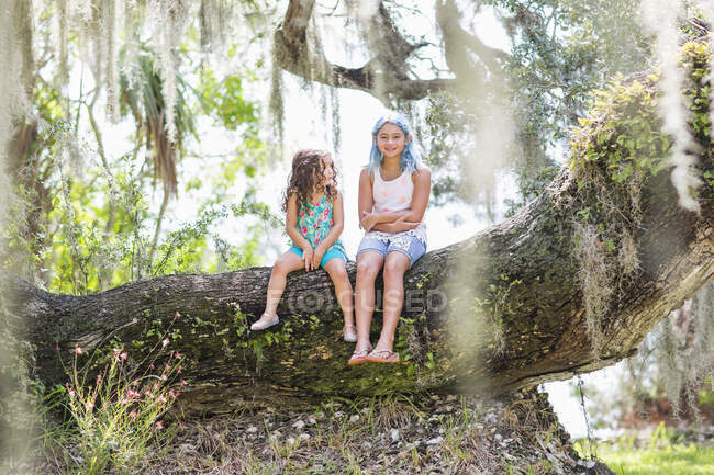 Дівчата сидять на старому дубовому дереві — стокове фото