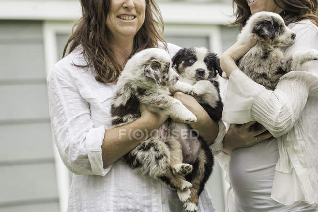 Recorte de mujer joven y madre sosteniendo cachorros de perro pastor en el rancho, Bridger, Montana, EE.UU. - foto de stock