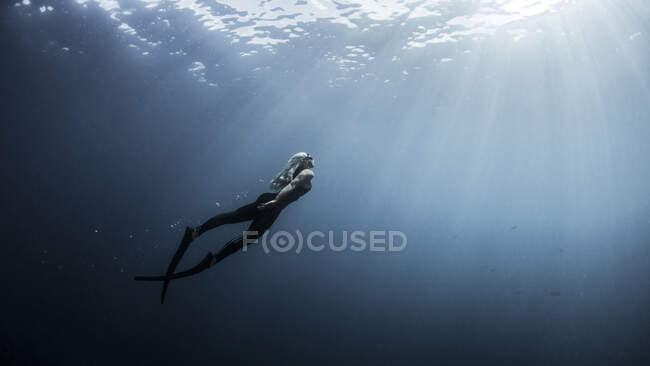 Vista subacquea del subacqueo femminile che si muove verso i raggi del sole, New Providence, Bahamas — Foto stock