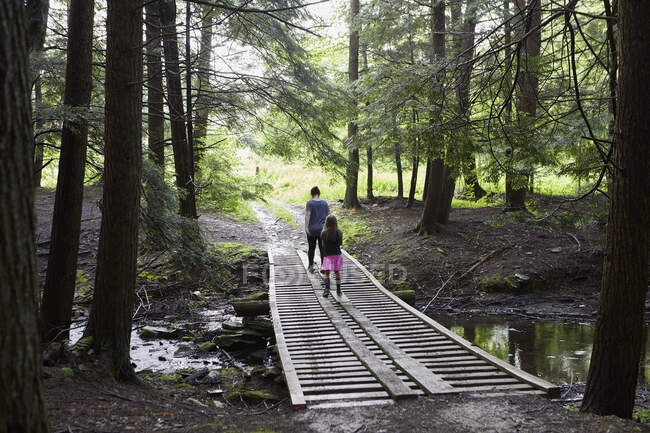 Две девушки идут по деревянному пешеходному мосту в лесу, вид сзади — стоковое фото