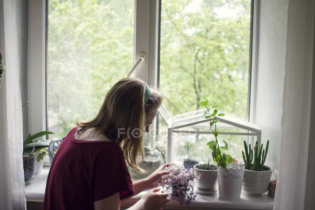 Mujer joven cuidando plantas en maceta en el alféizar de la ventana - foto de stock