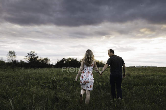 Вид сзади романтической пары, держащейся за руки в поле — стоковое фото