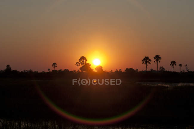 Vista panorámica del amanecer, delta del Okavango, Botsuana - foto de stock