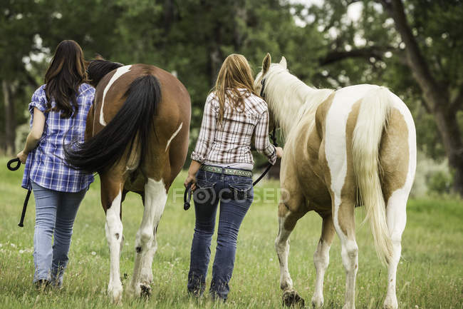 Due giovani donne che camminano con i cavalli, vista posteriore — Foto stock