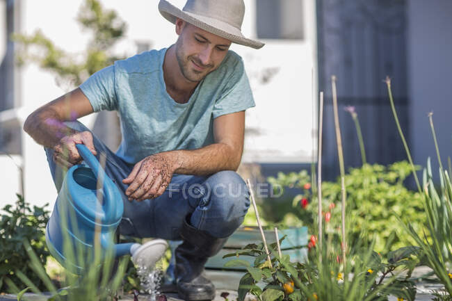 Hombre joven regando plantas en el jardín - foto de stock