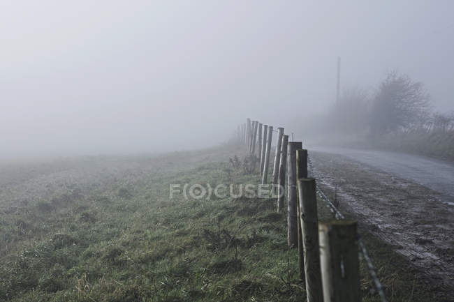 Recinzione lungo la strada in ambiente rurale, con nebbia, Houghton-le-Spring, Sunderland, Regno Unito — Foto stock