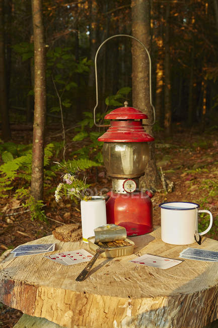 Игральные карты, сардины и жестяная чашка на дереве, Colgate Lake Wild Forest, Catskill Park, штат Нью-Йорк, США — стоковое фото