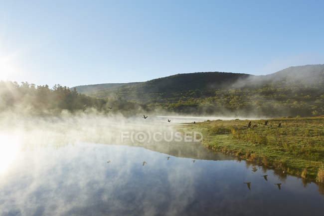 Vista panoramica, Colgate Lake Wild Forest, Catskill Park, Stato di New York, Stati Uniti d'America — Foto stock