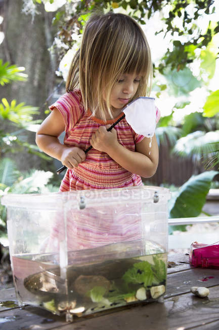 Дівчина дивиться в Рибальські тенета від пластиковий акваріум на садовий стіл — стокове фото