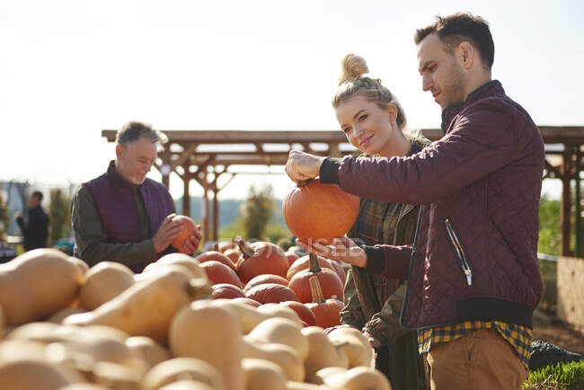 Couple selecting pumpkins in pumpkin patch field — Stock Photo