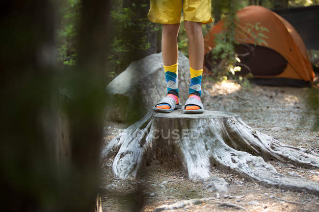 Visão de seção baixa do adolescente de pé no toco da árvore — Fotografia de Stock