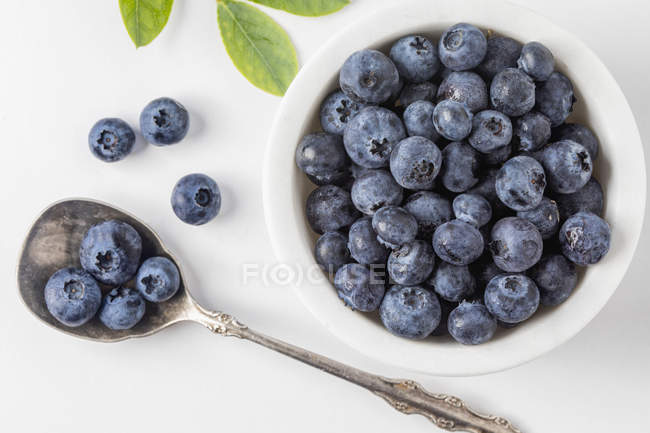 Top view of blueberries in bowl and on spoon — Stock Photo