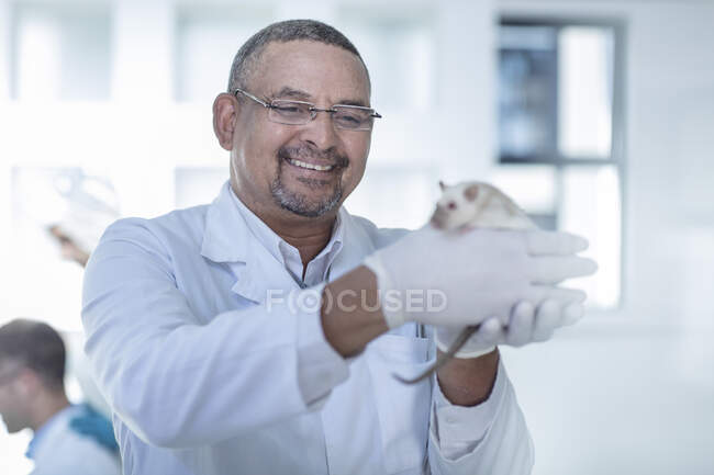 Ouvrier de laboratoire tenant un rat blanc, souriant — Photo de stock
