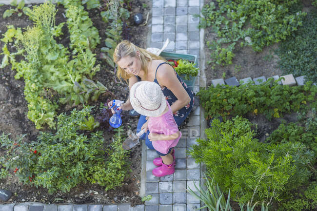 Mother and daughter tending to garden, overhead view — Stock Photo