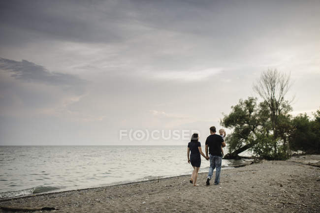 Вид сзади на прогулку пары с малышом на пляже, озеро Онтарио, Канада — стоковое фото