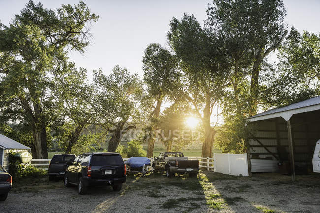 Parked cars and trucks beside farm buildings, sun shining through trees — Stock Photo
