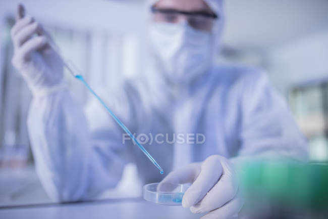 Trabajador de laboratorio que usa una pipeta larga para transferir líquido a una placa de Petri - foto de stock