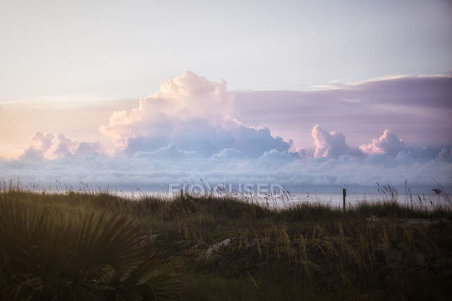Clouds over grassy dunes, North Myrtle Beach, South Carolina, United States — Stock Photo