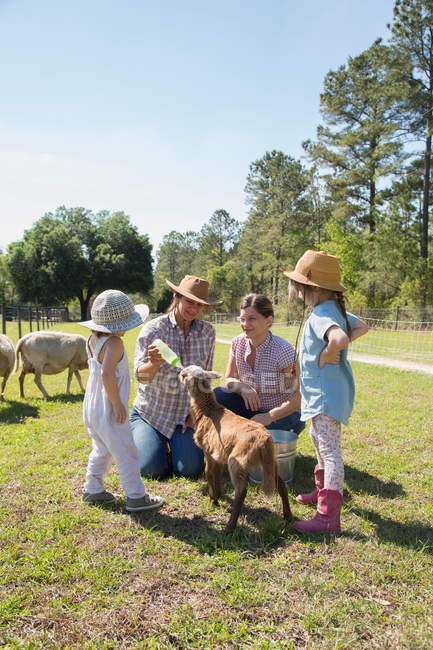 Familia en la granja, alimentación con biberón cabra joven - foto de stock