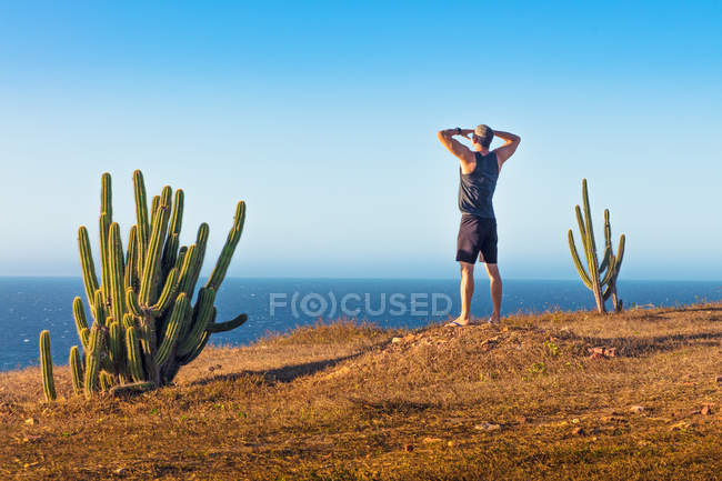 Vista trasera del hombre de pie en la cima de la montaña, Parque Nacional Jericoacoara, Ceara, Brasil - foto de stock