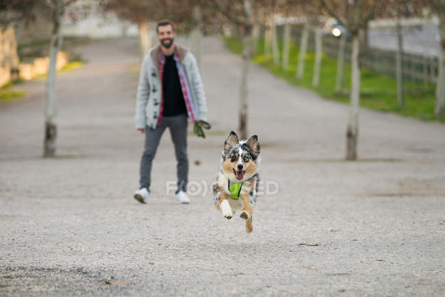 Dog running in park ahead of male owner — Stock Photo