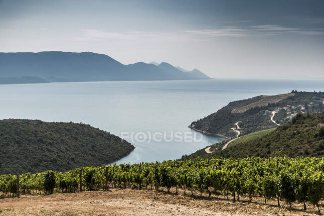 Ackerland an der Küste am Meer, adamovec, grad zagreb, kroatien, europa — Stockfoto