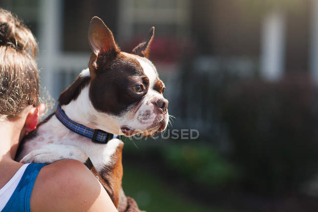 Blick über die Schulter eines Mädchens, das Hund trägt — Stockfoto