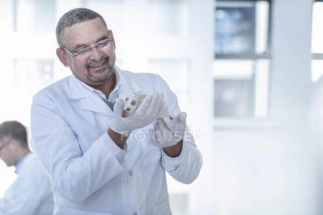 Operaio di laboratorio con ratto bianco, sorridente — Foto stock