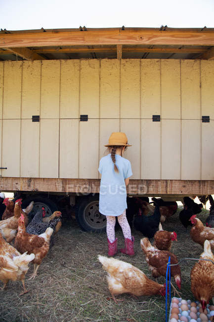 Молодая девушка на ферме, собирает яйца из курятника — стоковое фото