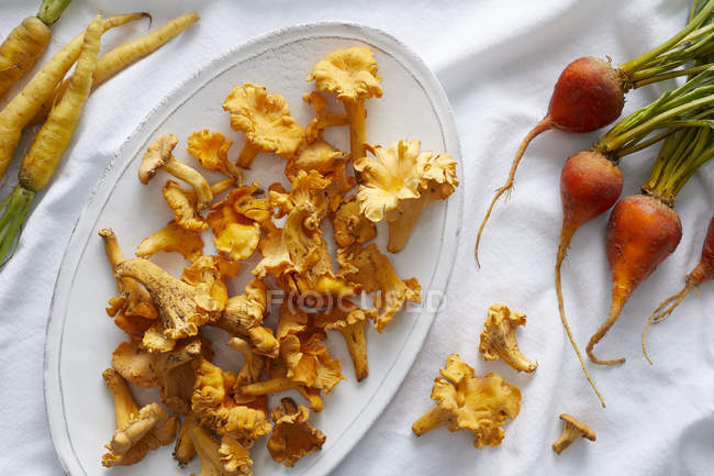 Wild chanterelle mushrooms, golden yellow beets and yellow carrots — Stock Photo