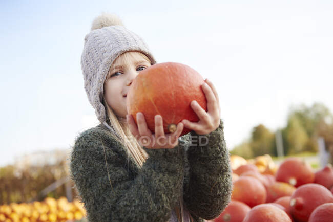 Девушка держит собранную тыкву в поле — стоковое фото