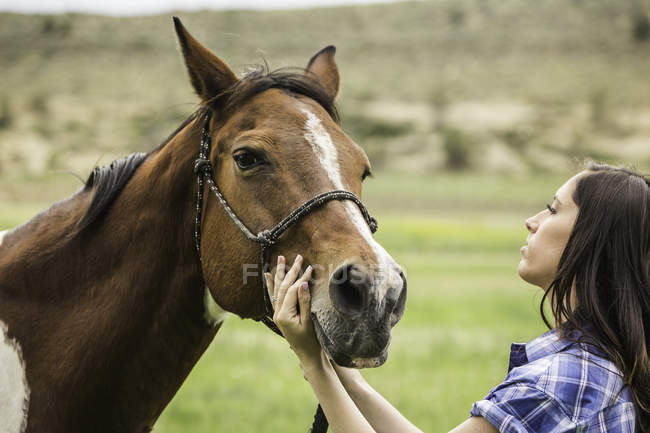 Jeune femme caressant cheval dans le champ — Photo de stock