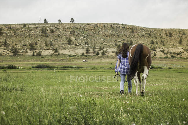 Mujer joven caminando con caballo a través del campo, vista trasera - foto de stock