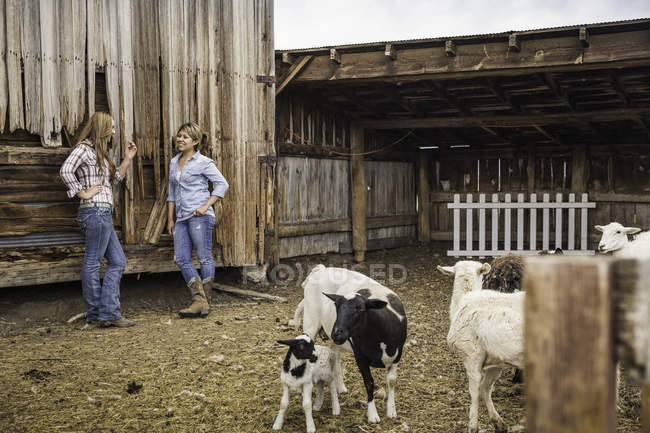 Duas jovens mulheres encostadas ao celeiro do rancho conversando, Bridger, Montana, EUA — Fotografia de Stock