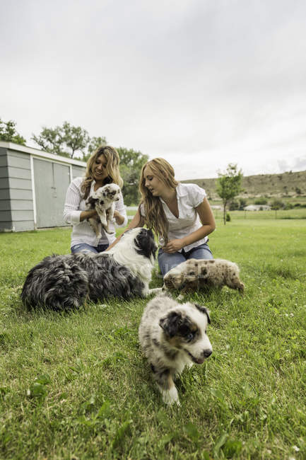 Two young women playing with puppies on ranch, Bridger, Montana, USA — Stock Photo