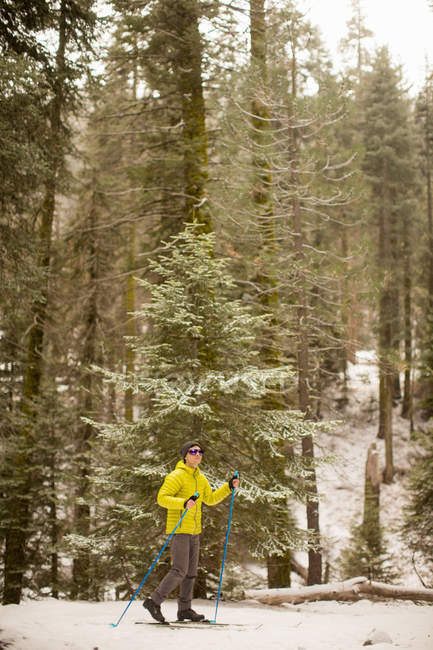 Male cross country skier in Sequoia National Park, California, USA — Stock Photo