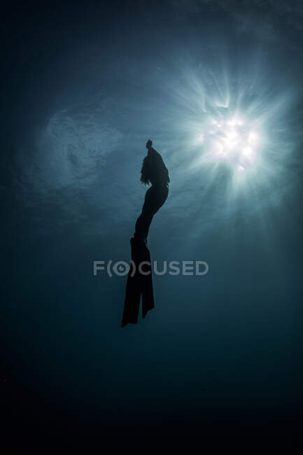 Підводний вид силуетного водолаза, що рухається вгору до сонячних променів (Нью Провіденс, Багами). — стокове фото