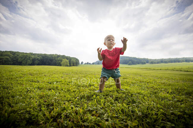 Bebé niño acariciando en campo rural herboso - foto de stock
