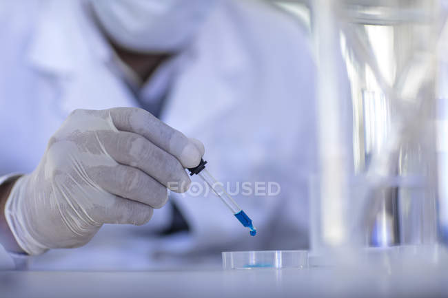 Vue rapprochée du travailleur de laboratoire utilisant une pipette, goutte à goutte liquide dans une boîte de Pétri — Photo de stock