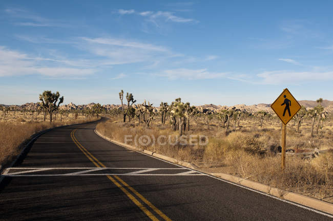 Route à travers le parc national Joshua Tree, Californie, États-Unis — Photo de stock