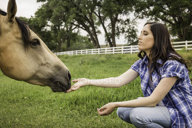 Jeune femme, accroupi, caressant cheval — Photo de stock