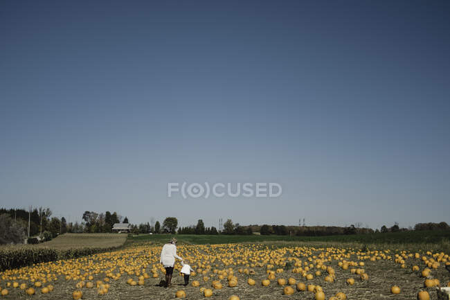 Madre e figlia nel campo delle zucche, Oshawa, Canada, Nord America — Foto stock