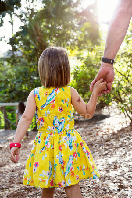 Padre e hija caminando al aire libre, tomados de la mano, vista trasera - foto de stock