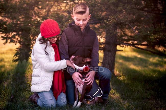 Portrait von Mädchen und Jungen, mit Boston Terrier Hund, im Freien — Stockfoto