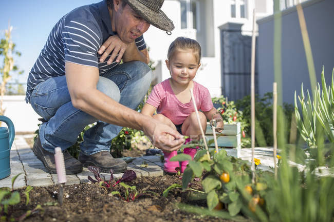 Pai e filha no jardim cuidando de plantas — Fotografia de Stock