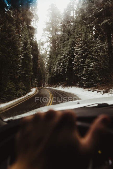 Conduite manuelle masculine sur route rurale dans le parc national de Sequoia, Californie, États-Unis — Photo de stock